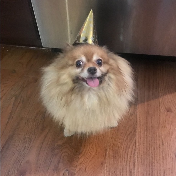 Meet your Posher, Amy - Picture 2 of 3